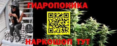 дурь Камышлов