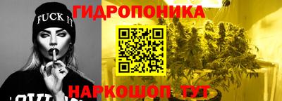 дурь Камышлов