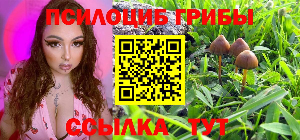 Кушва  Галлюциногенные грибы Magic Shrooms  Вход с VPN 